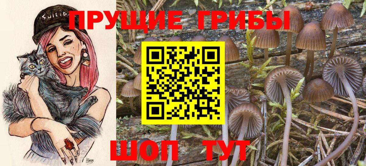 Галлюциногенные грибы прущие грибы  Вход с VPN  купить   Буйнакск 