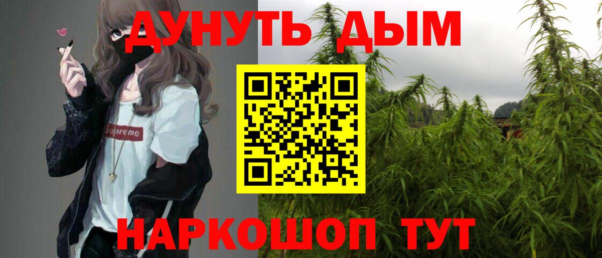 Бошки марихуана тримм  Вход с VPN  Буйнакск  Каннабис план  Бошки Шишки SATIVA & INDICA 